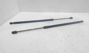 Pistoncini cofano Post. per Fiat 500 L Serie (351_352) (12>) (2012 - In produzione)