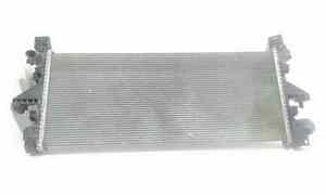 Radiatore acqua per Peugeot Boxer 4 Serie (2011 - In produzione)