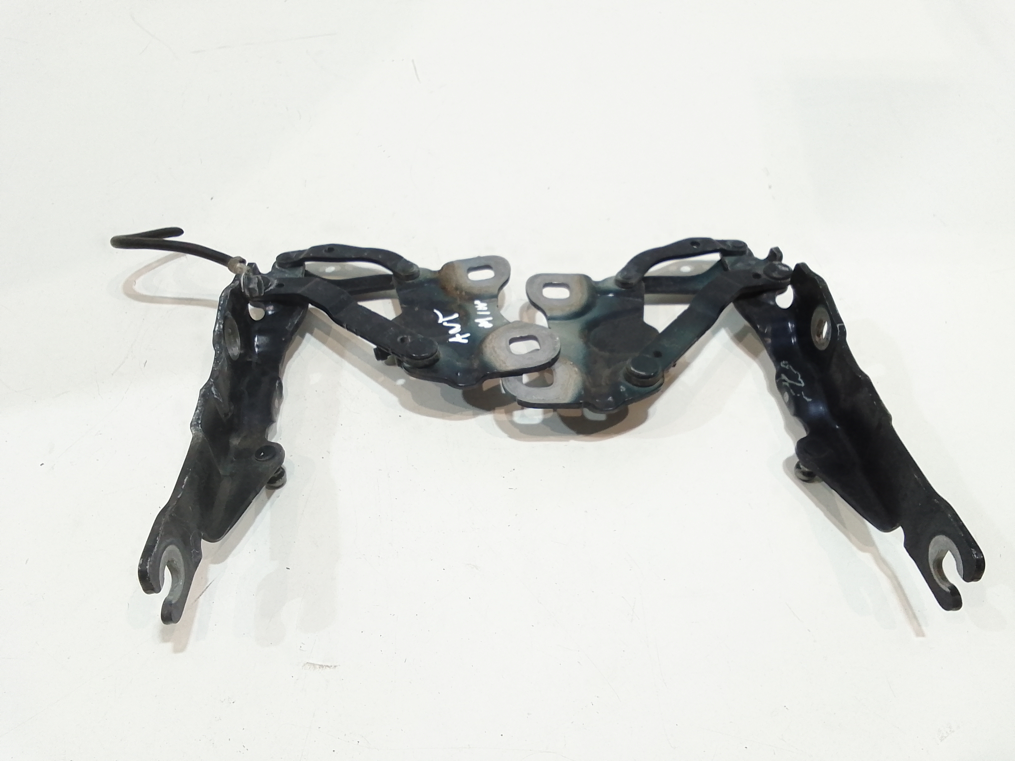 Cerniere cofano anteriore dx e sx per Mini Countryman 1 Serie (2010 - In produzione)