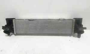Intercooler per Bmw X6 Serie (G06) (19>) (2019 - In produzione)