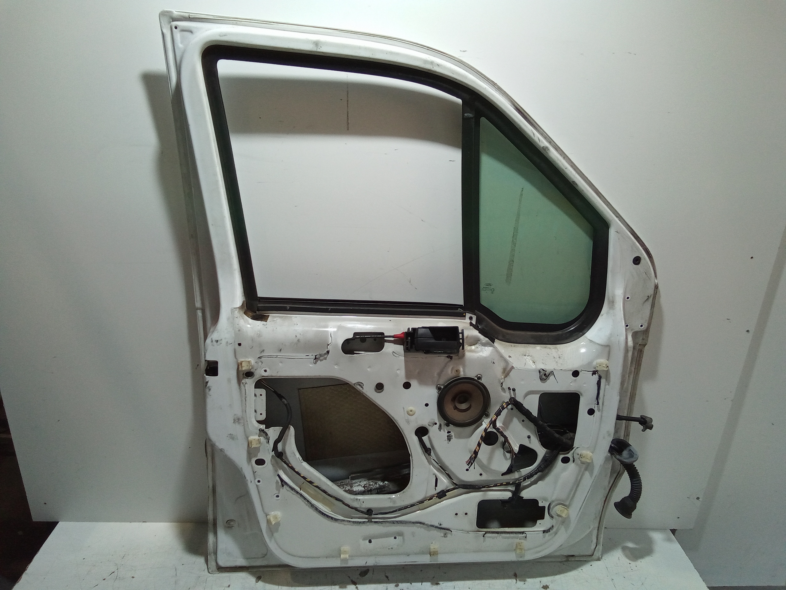 Portiera Anteriore Sinistra per Ford Transit Connect 3 Serie (2009 - In produzione)