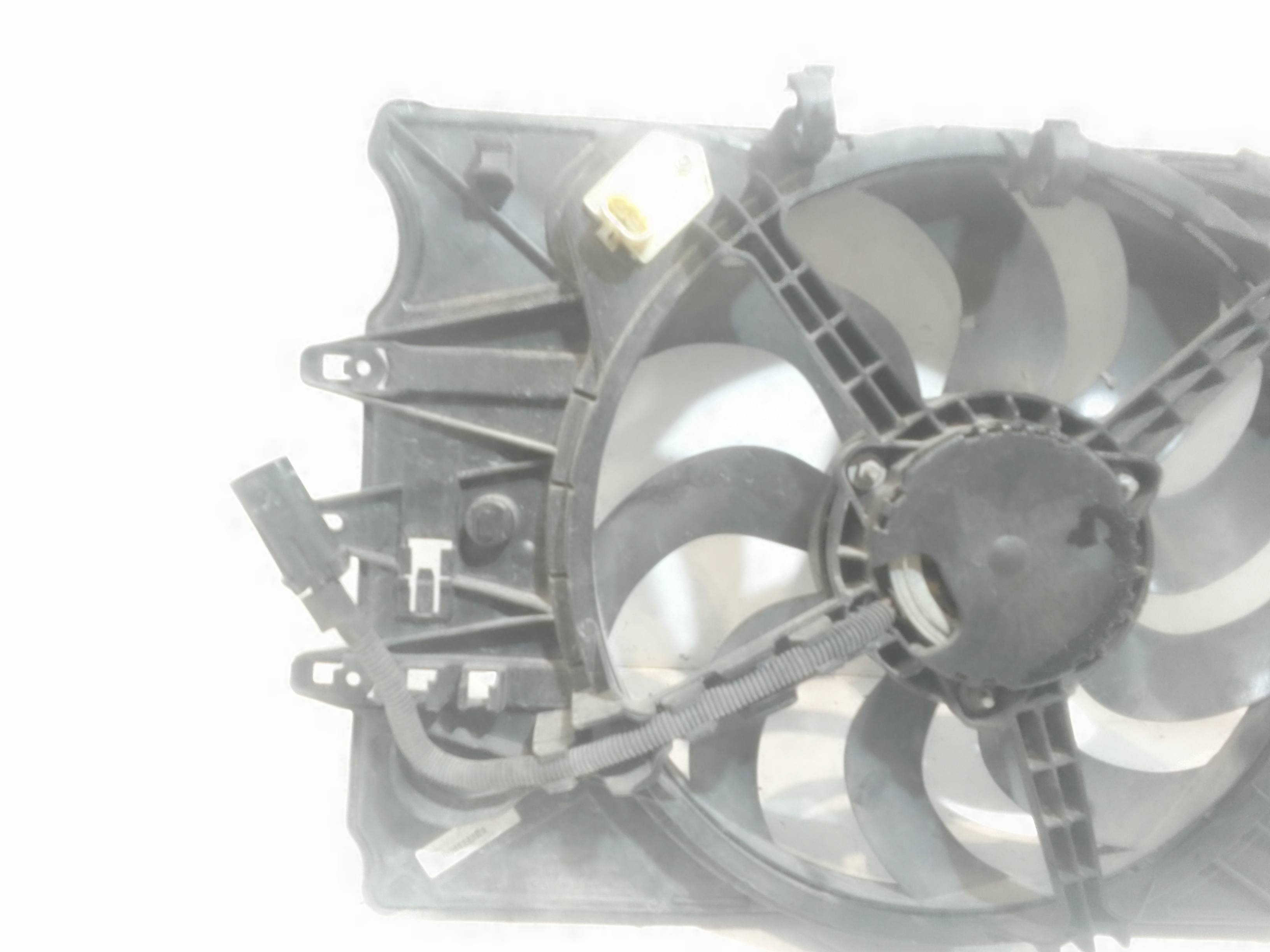 Ventola radiatore per Fiat 500 L Serie (351_352) (12>) (2012 - In produzione)