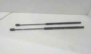 Pistoncini cofano Post. per Lancia Ypsilon 3 Serie (2010 - 2011)