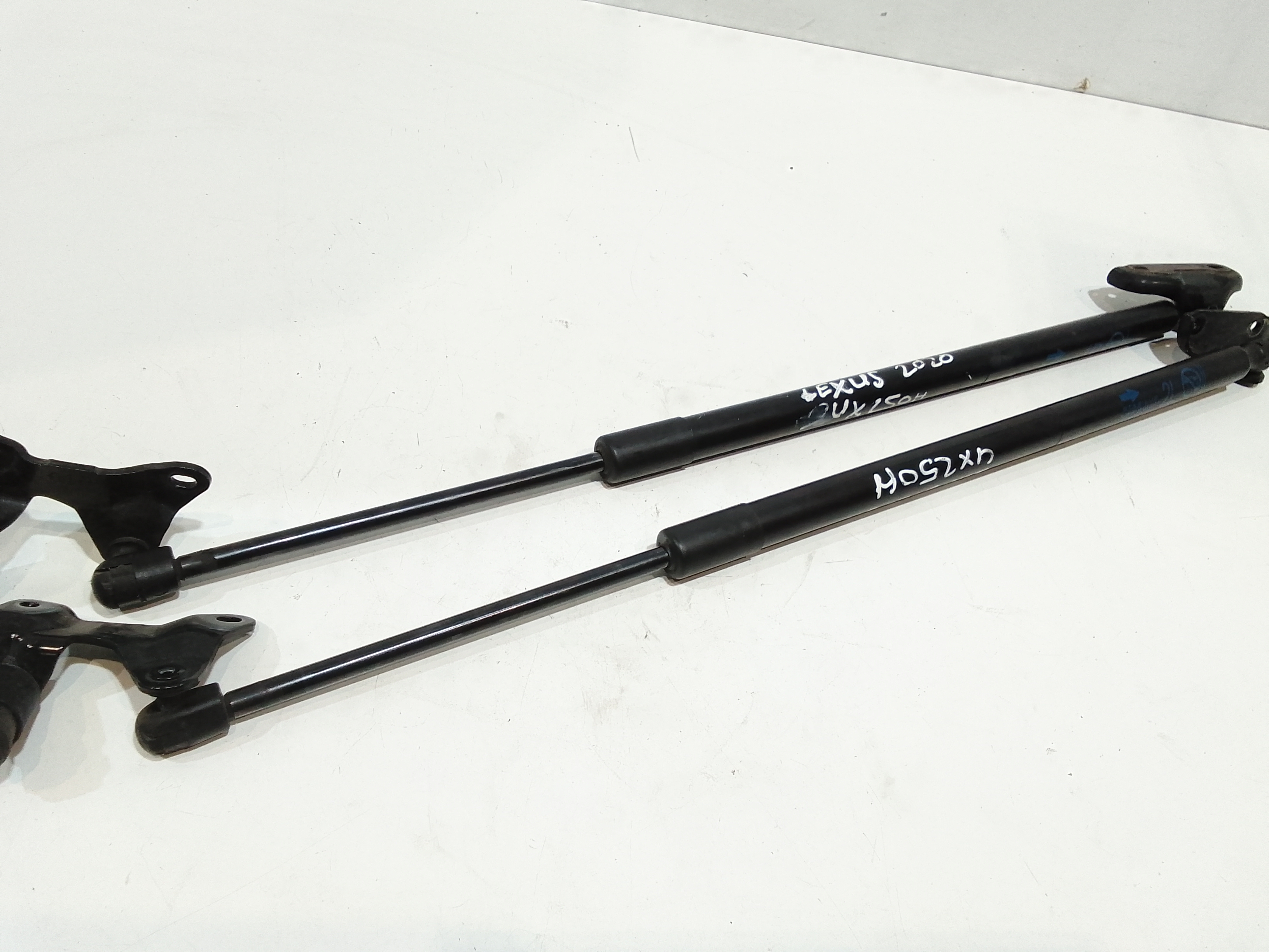 Pistoncini cofano Post. per Lexus UX (2018 - )