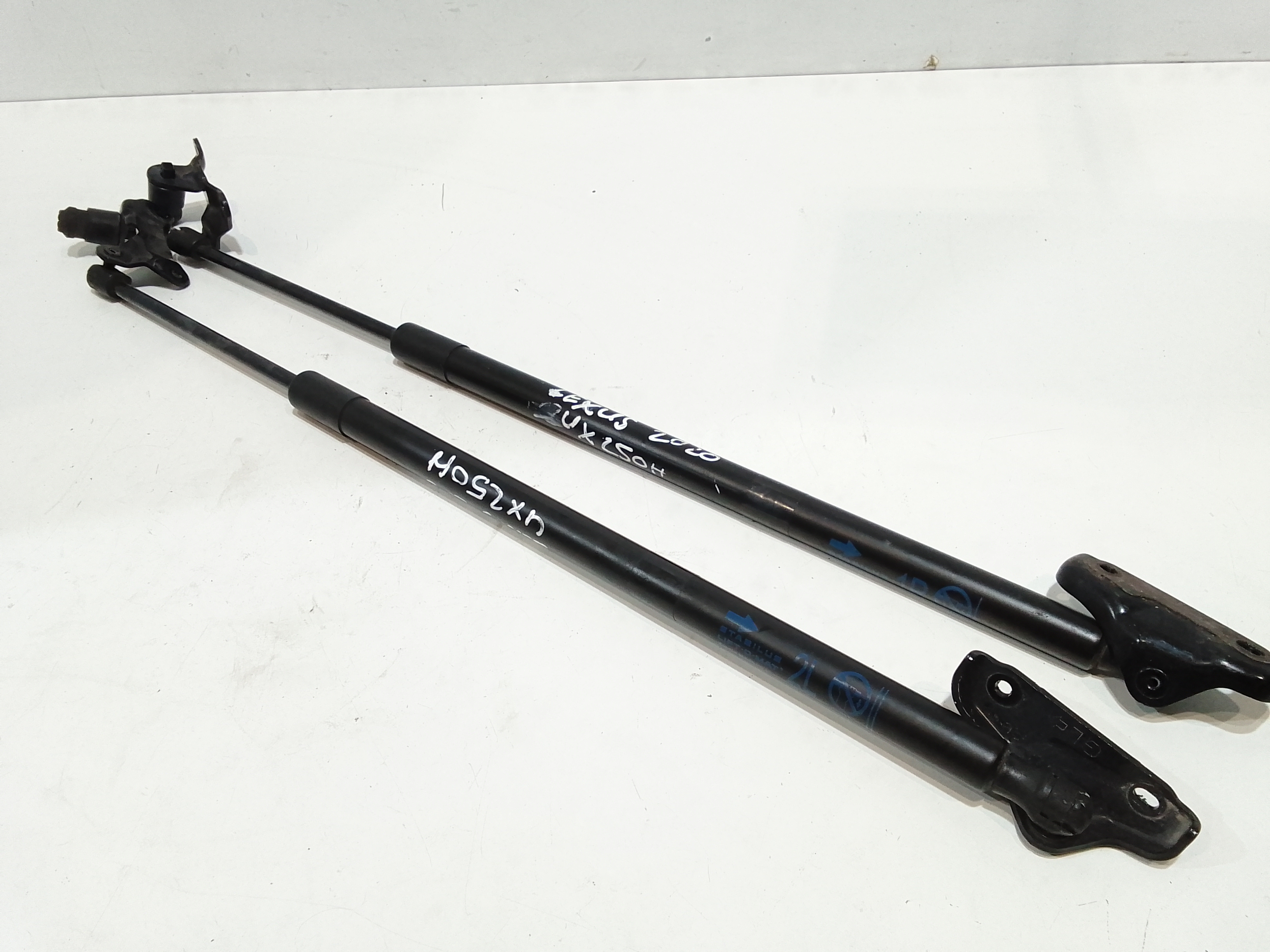 Pistoncini cofano Post. per Lexus UX (2018 - )