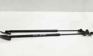 Pistoncini cofano Post. per Lexus UX (2018 - )