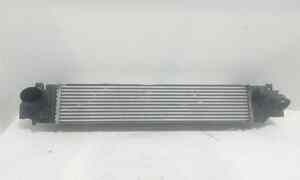 Intercooler per Bmw Serie 1 F40 (19>) (2019 - In produzione)