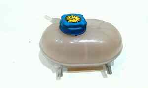 Vaschetta liquido radiatore per Lancia Ypsilon 4 Serie (2011 - In produzione)