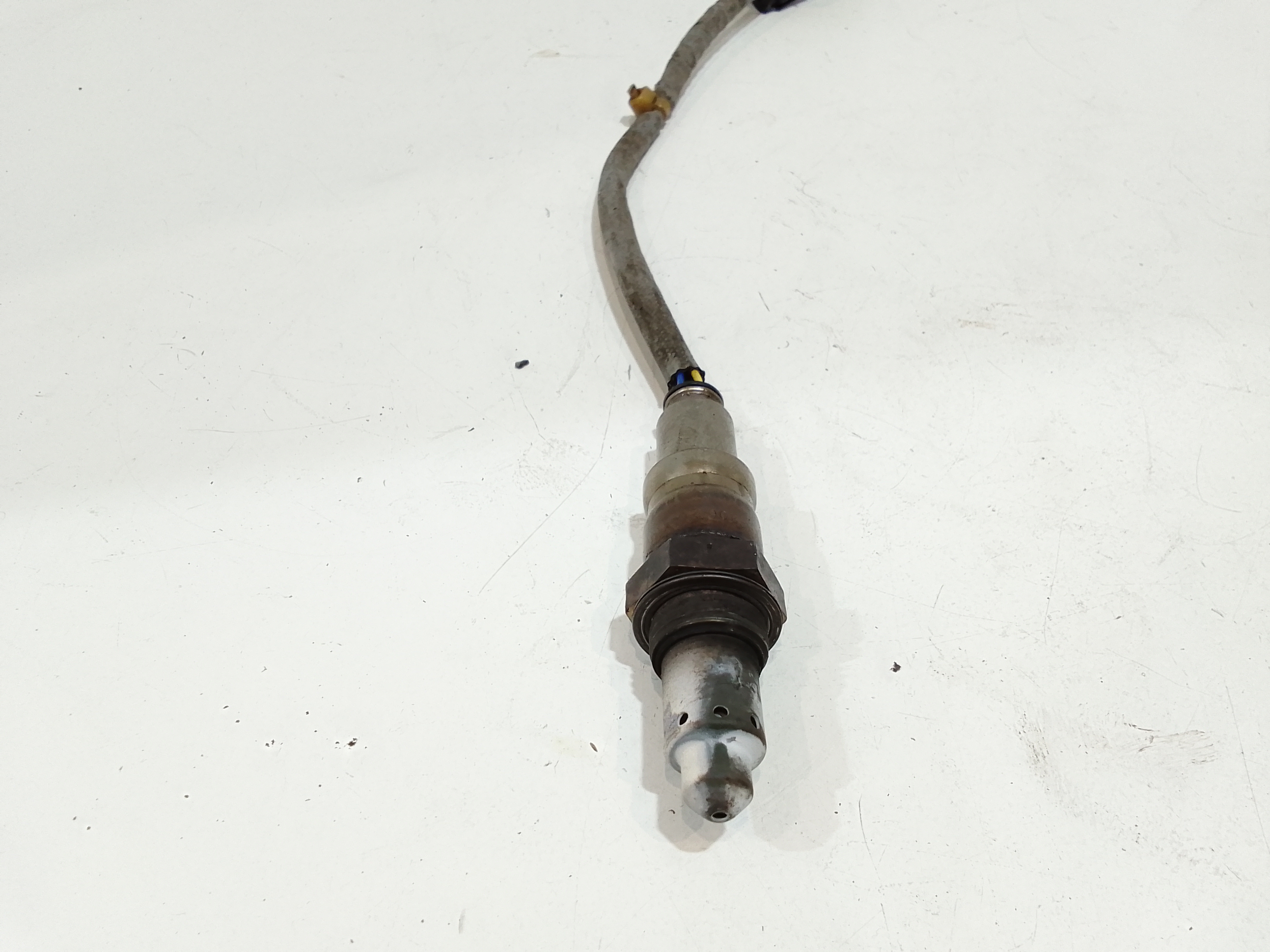 Sonda Lambda per Lancia Ypsilon 4 Serie (2011 - In produzione)