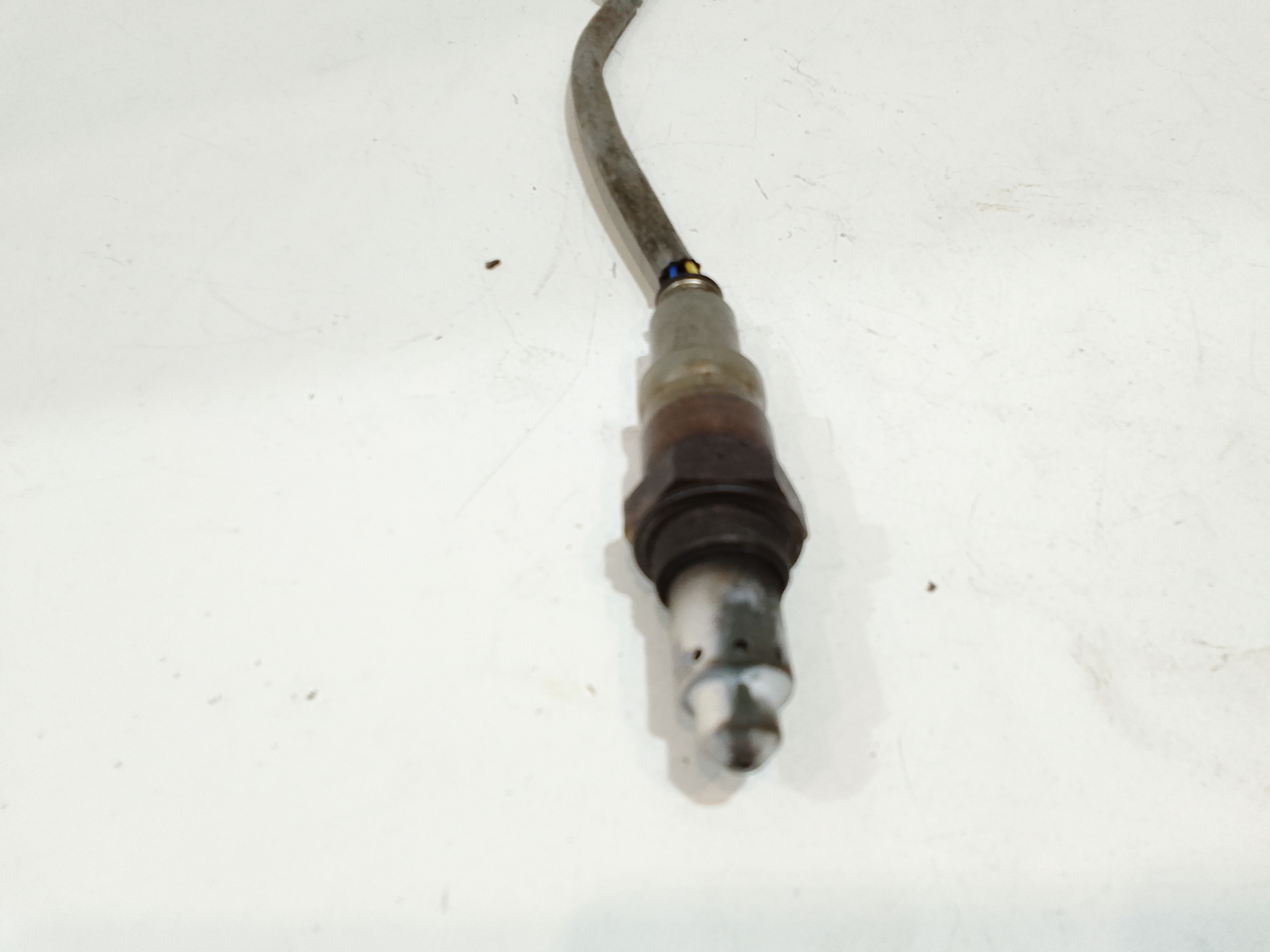 Sonda Lambda per Lancia Ypsilon 4 Serie (2011 - In produzione)