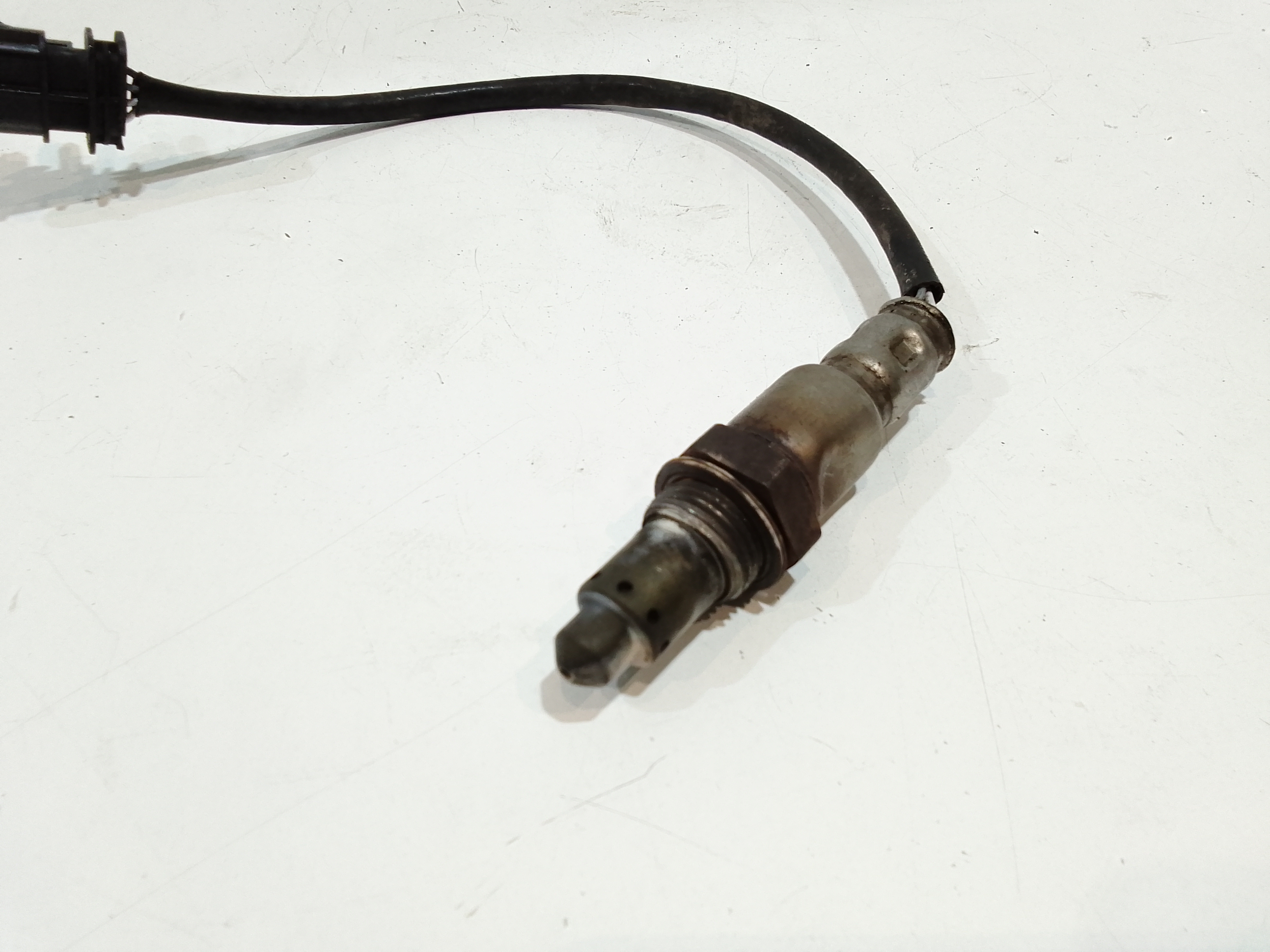 Sonda Lambda per Lancia Ypsilon 4 Serie (2011 - In produzione)