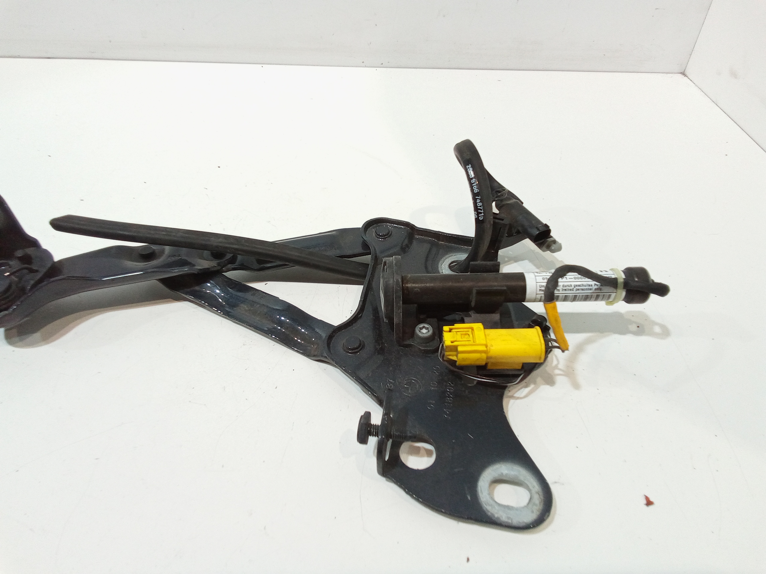 Cerniera cofano anteriore DX per Bmw X6 Serie (G06) (19>) (2019 - In produzione)