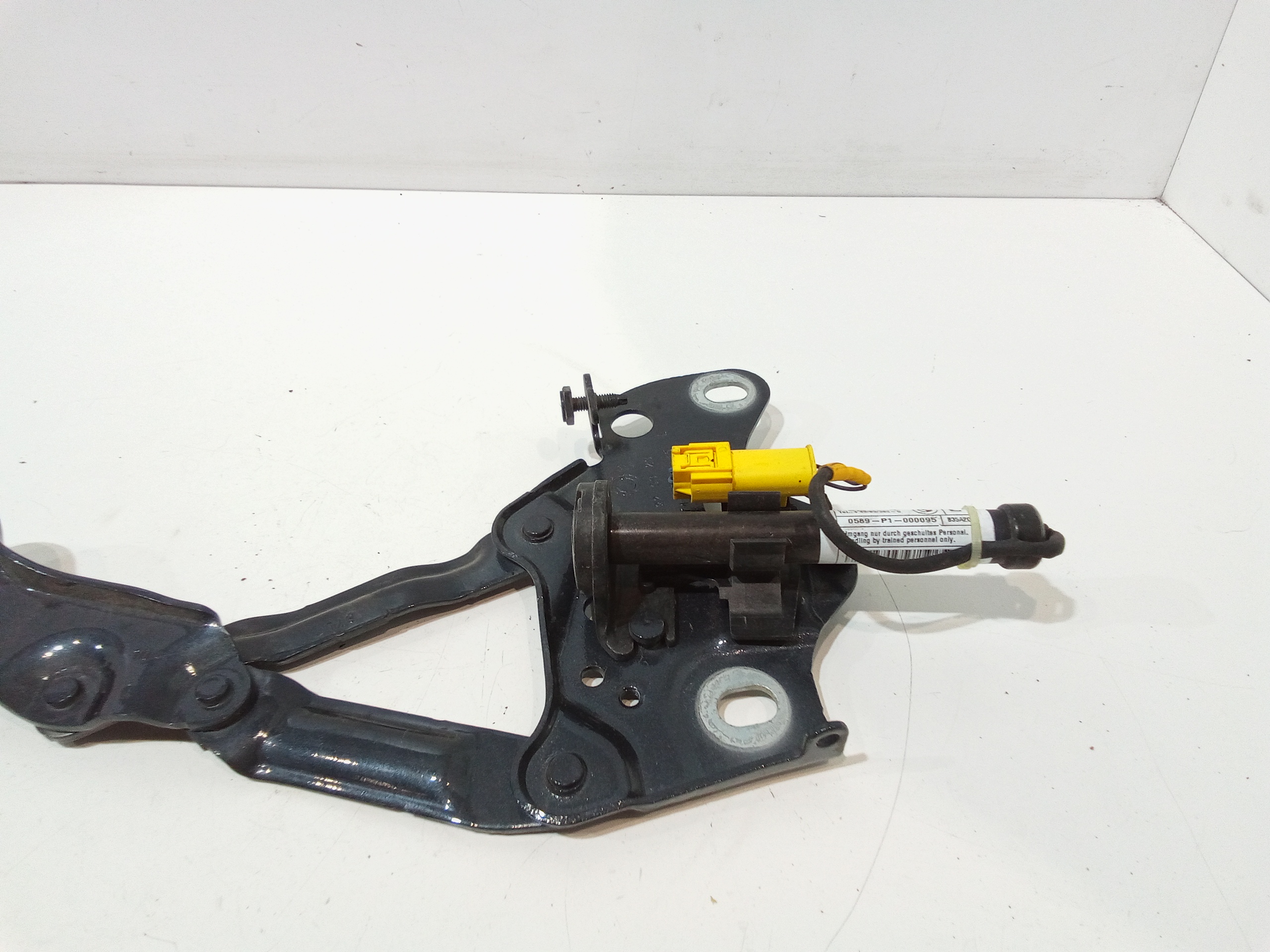 Cerniera cofano anteriore SX per Bmw X6 Serie (G06) (19>) (2019 - In produzione)