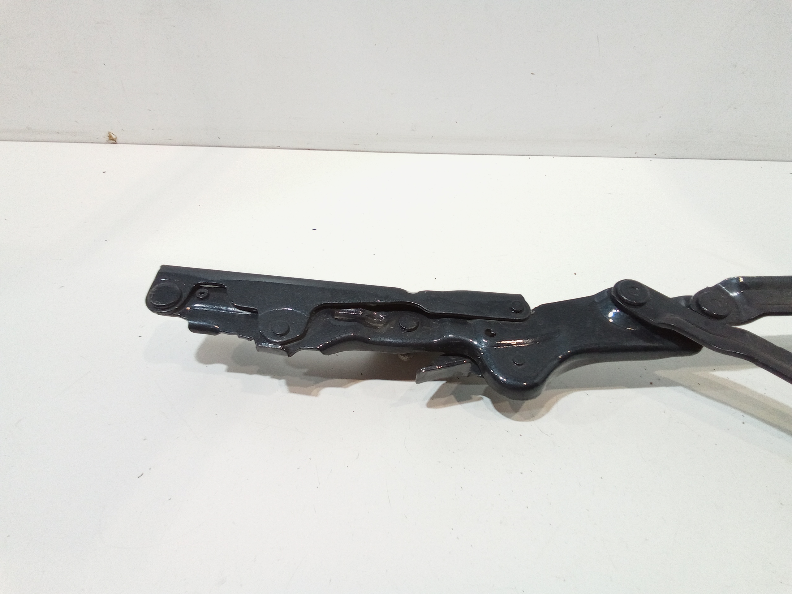 Cerniera cofano anteriore SX per Bmw X6 Serie (G06) (19>) (2019 - In produzione)