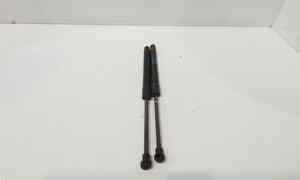 Pistoncini cofano Post. per Opel Karl Serie (2015 - 2017)