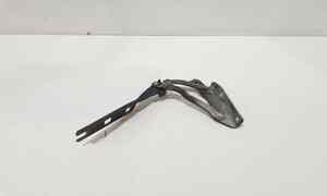 Cerniera cofano anteriore SX per Volkswagen Golf 6 Berlina (08>12) (2008 - 2012)