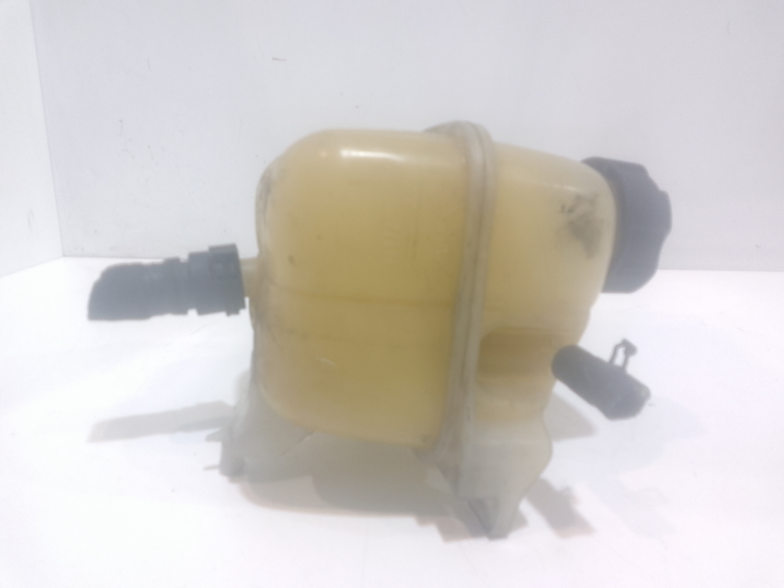 Vaschetta liquido radiatore per Mini Countryman 1 Serie (2010 - In produzione)