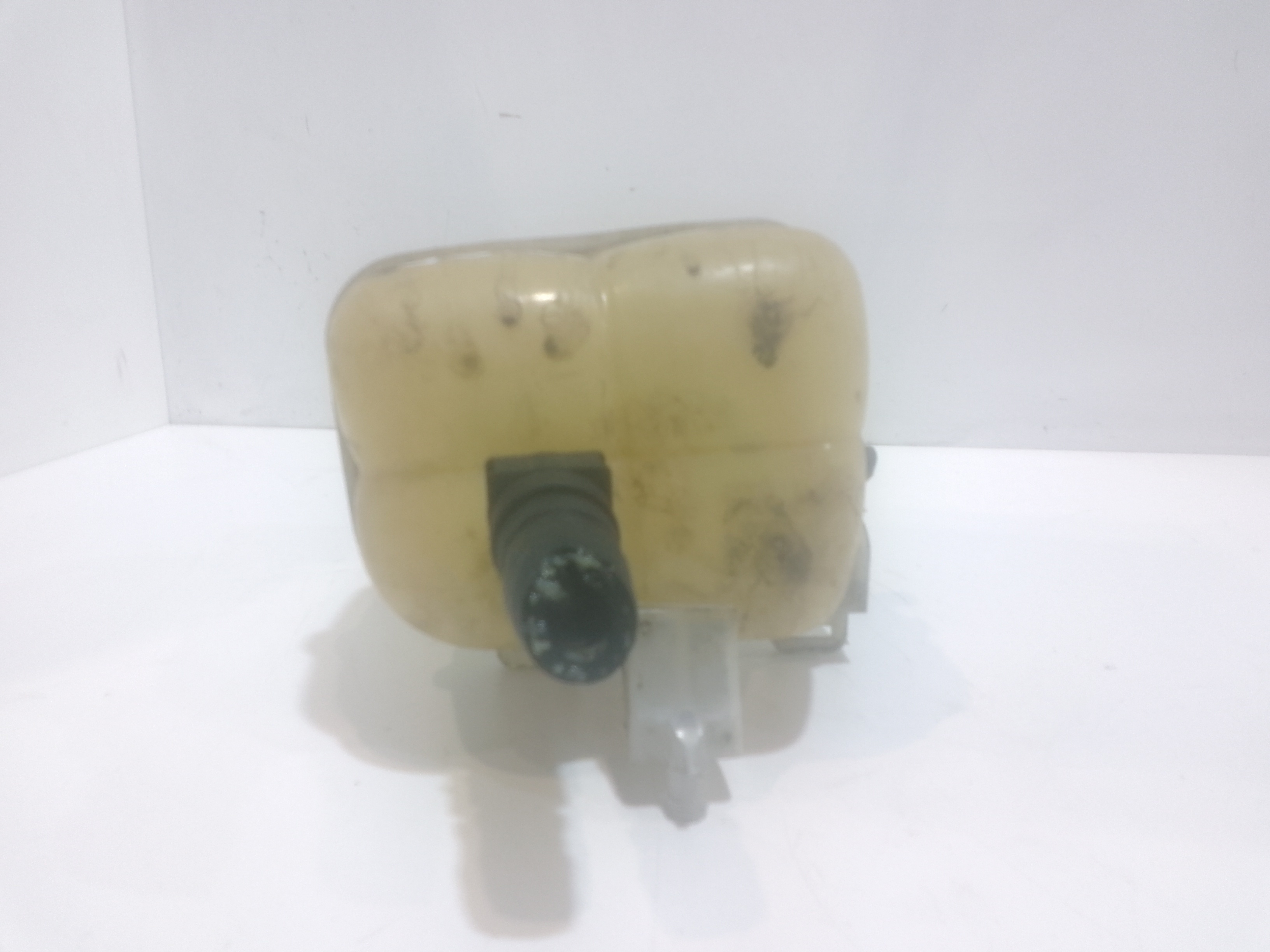 Vaschetta liquido radiatore per Mini Countryman 1 Serie (2010 - In produzione)