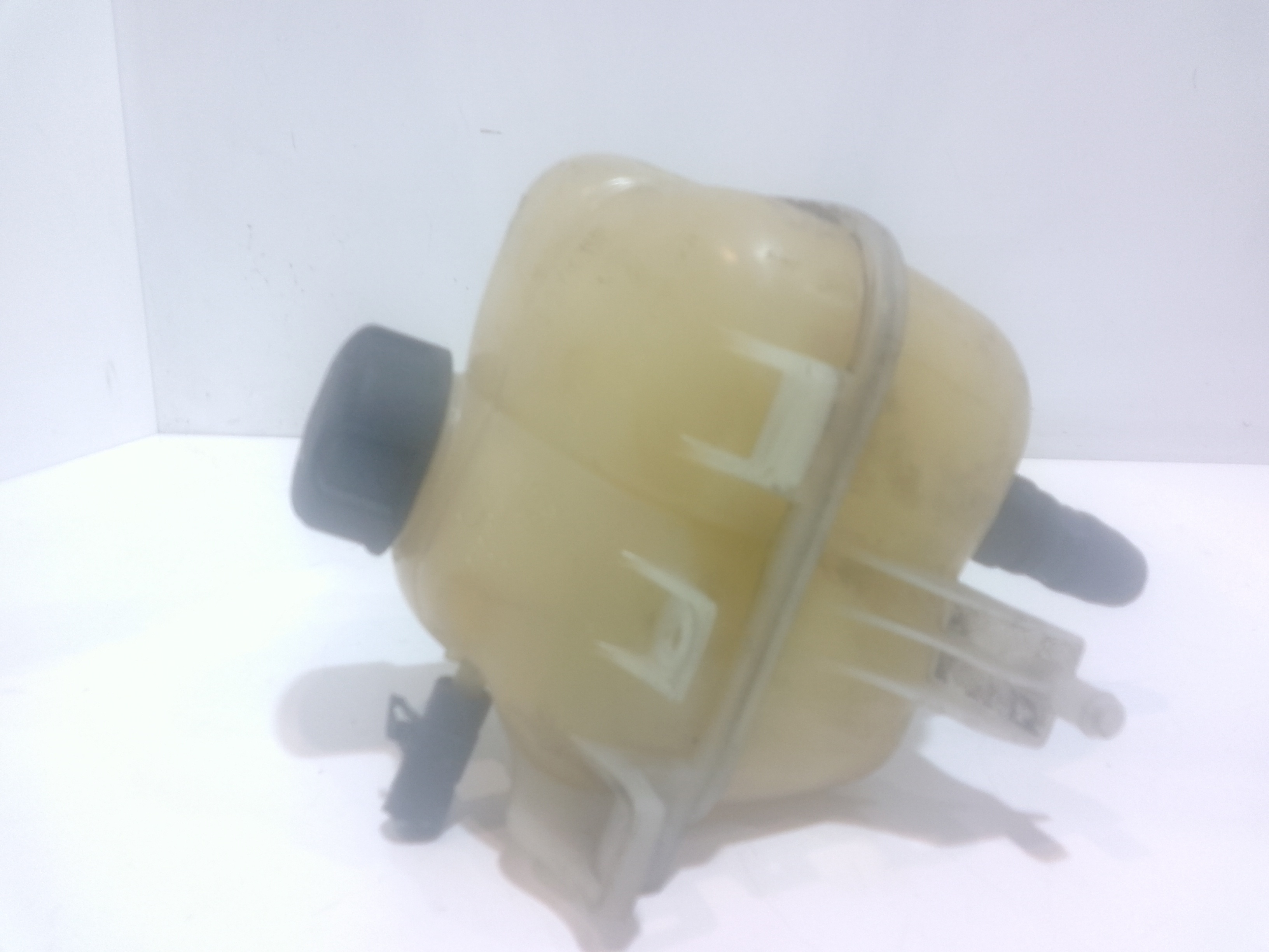 Vaschetta liquido radiatore per Mini Countryman 1 Serie (2010 - In produzione)