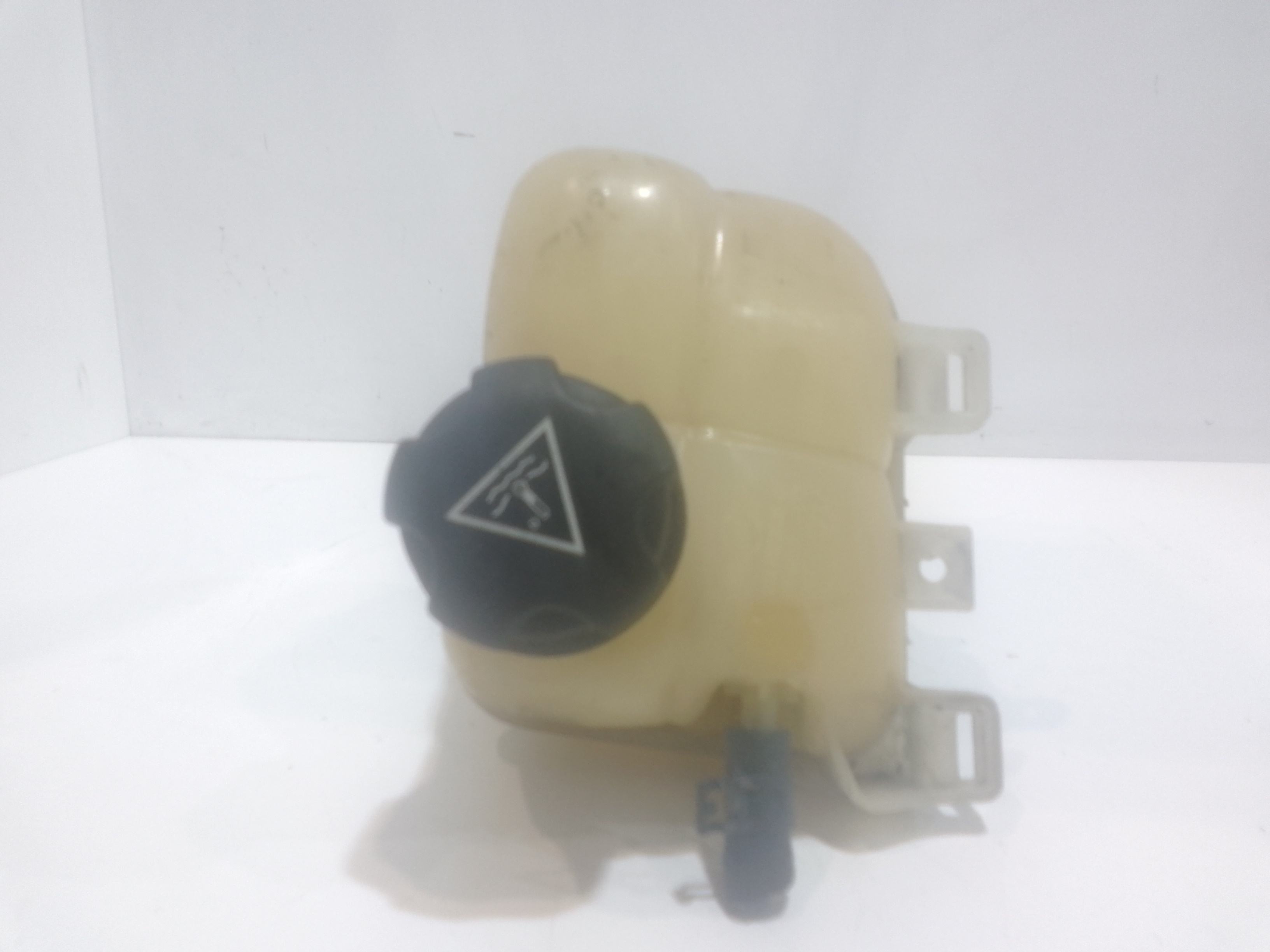 Vaschetta liquido radiatore per Mini Countryman 1 Serie (2010 - In produzione)