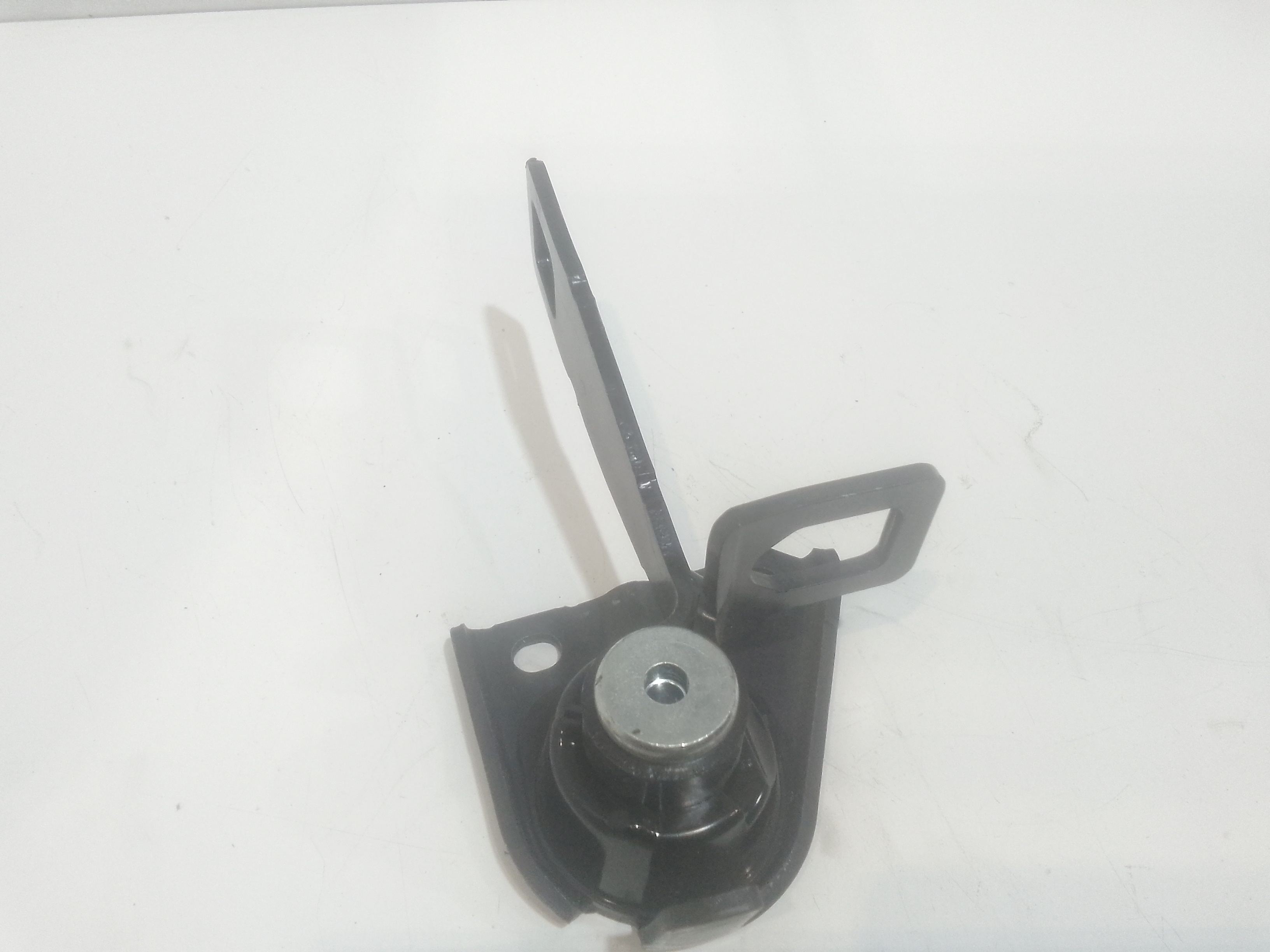 Cerniera cofano anteriore DX per Bmw Serie 1 F40 (19>) (2019 - In produzione)