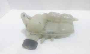 Vaschetta liquido radiatore per Bmw Serie 1 F40 (19>) (2019 - In produzione)