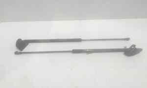 Pistoncini cofano Post. per Nissan Qashqai 2 Serie (2010 - 2013)