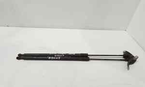 Pistoncini cofano Post. per Renault Grand Modus 1 Serie (2008 - In produzione)