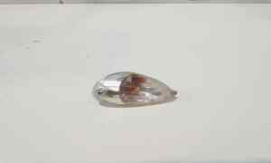 Freccia post DX per Piaggio Liberty 50 (2004 - In produzione)