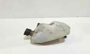 Vaschetta liquido radiatore per Piaggio Beverly 250 Serie (2001 - In produzione)