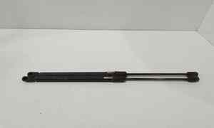 Pistoncini cofano Post. per Hyundai I10 1 Serie (2007 - 2011)