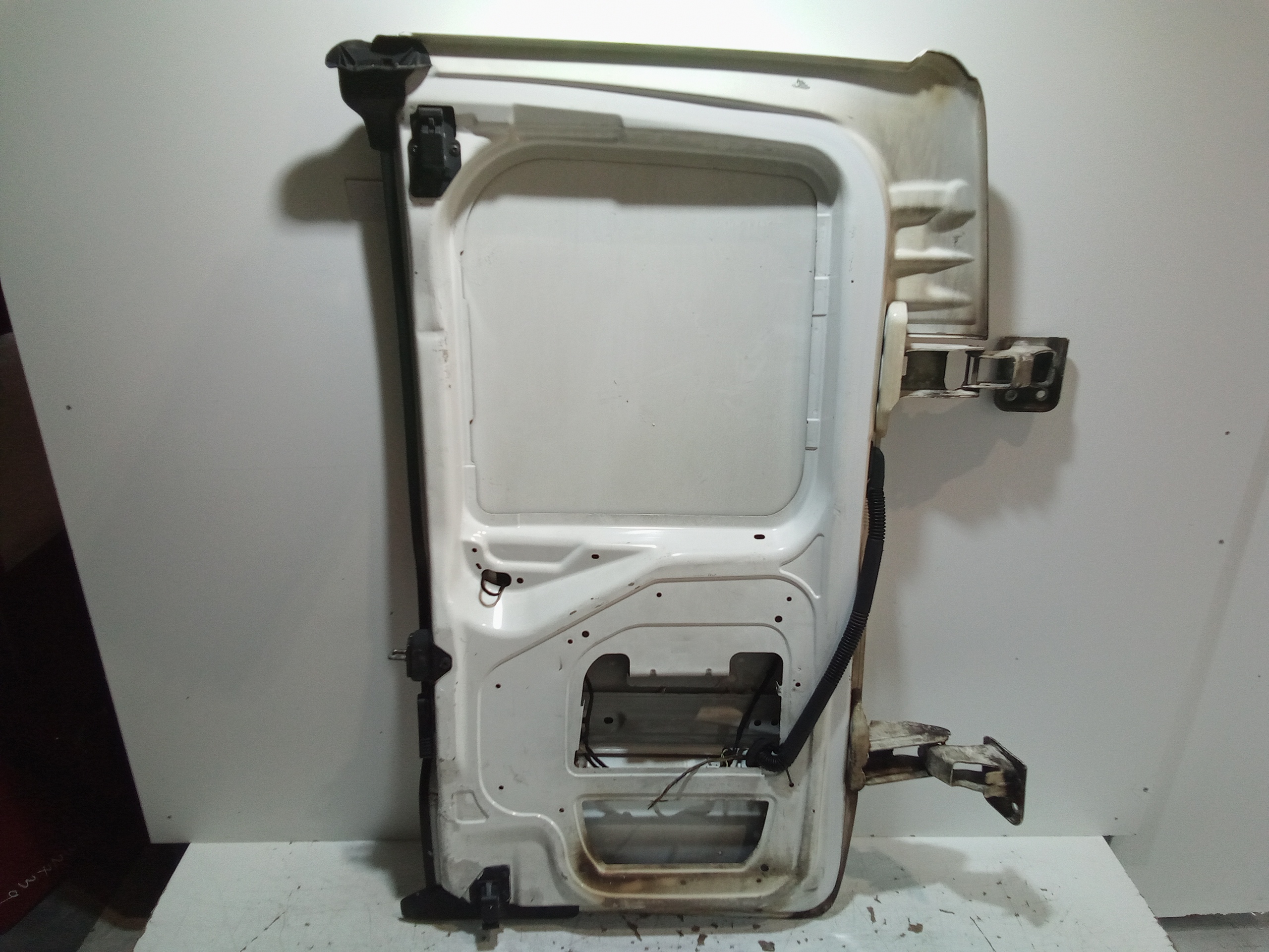 Porta carico posteriore a battente SX lato guida Non vetrata per Fiat Scudo 3 Serie (2007 - In produzione)