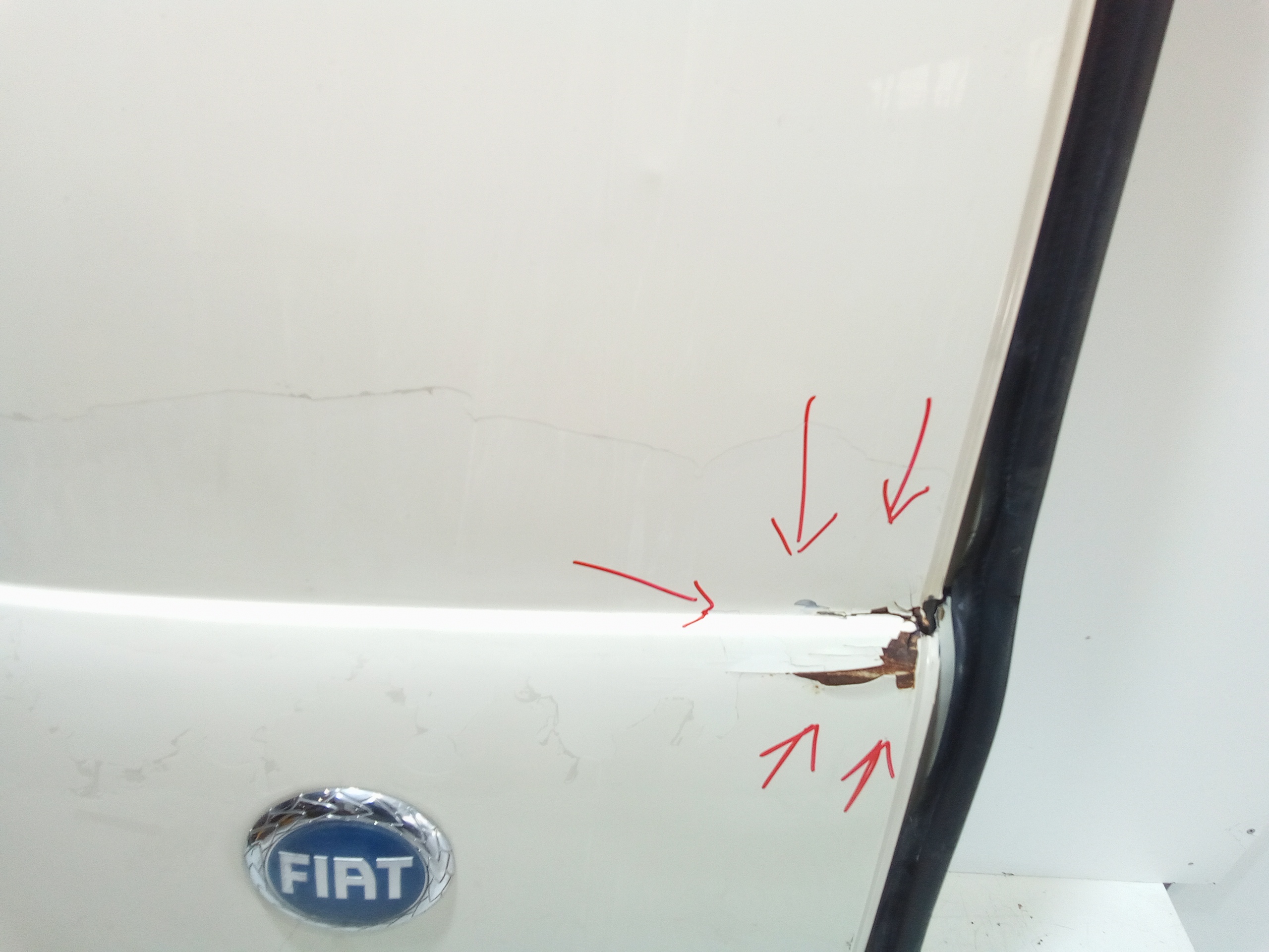 Porta carico posteriore a battente SX lato guida Non vetrata per Fiat Scudo 3 Serie (2007 - In produzione)