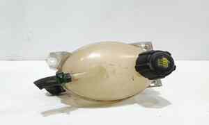 Vaschetta liquido radiatore per Renault Captur Serie (2013 - In produzione)