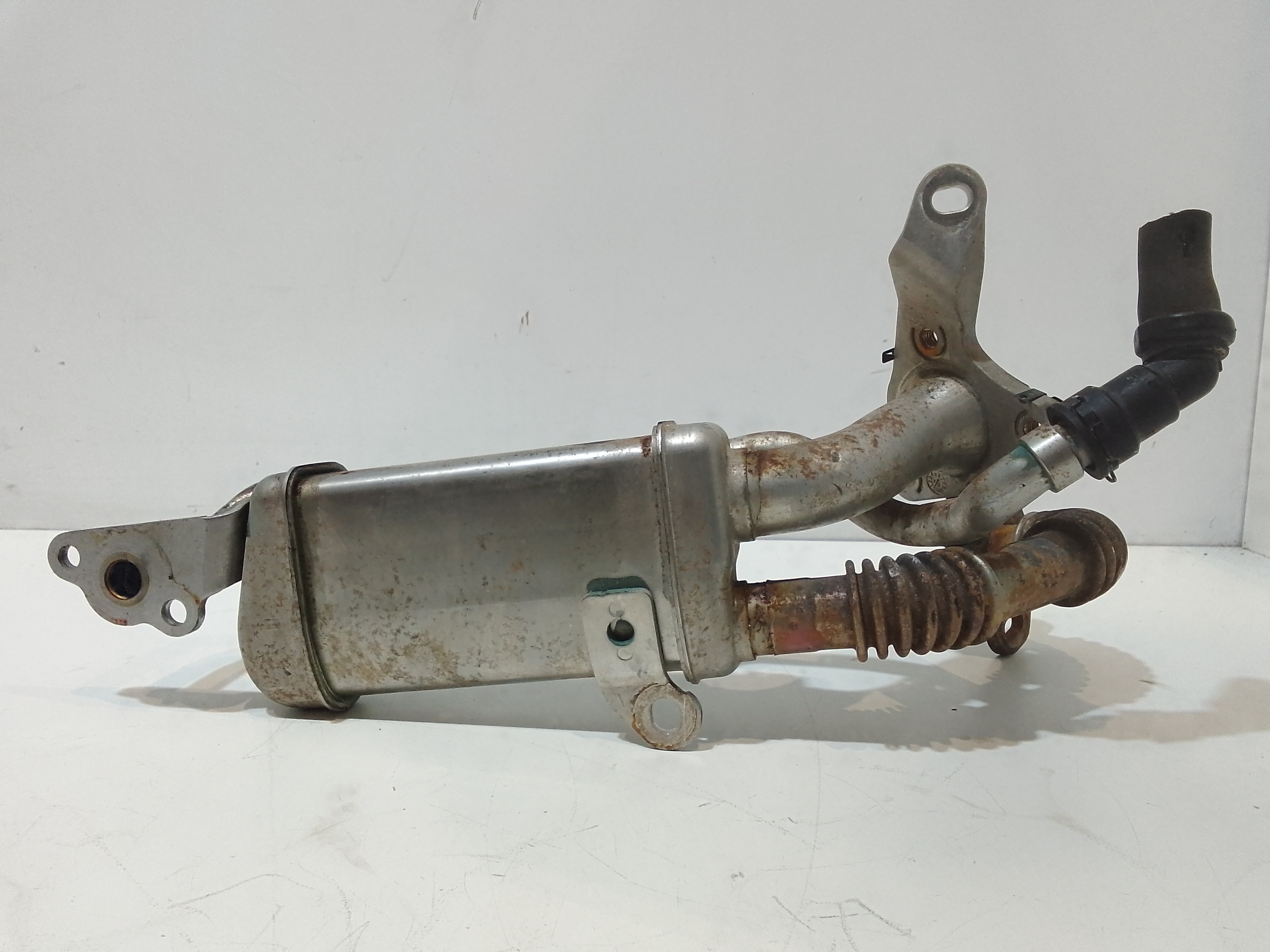 Scambiatore Egr per Renault Clio Serie Iv (12>19) (2012 - 2019)