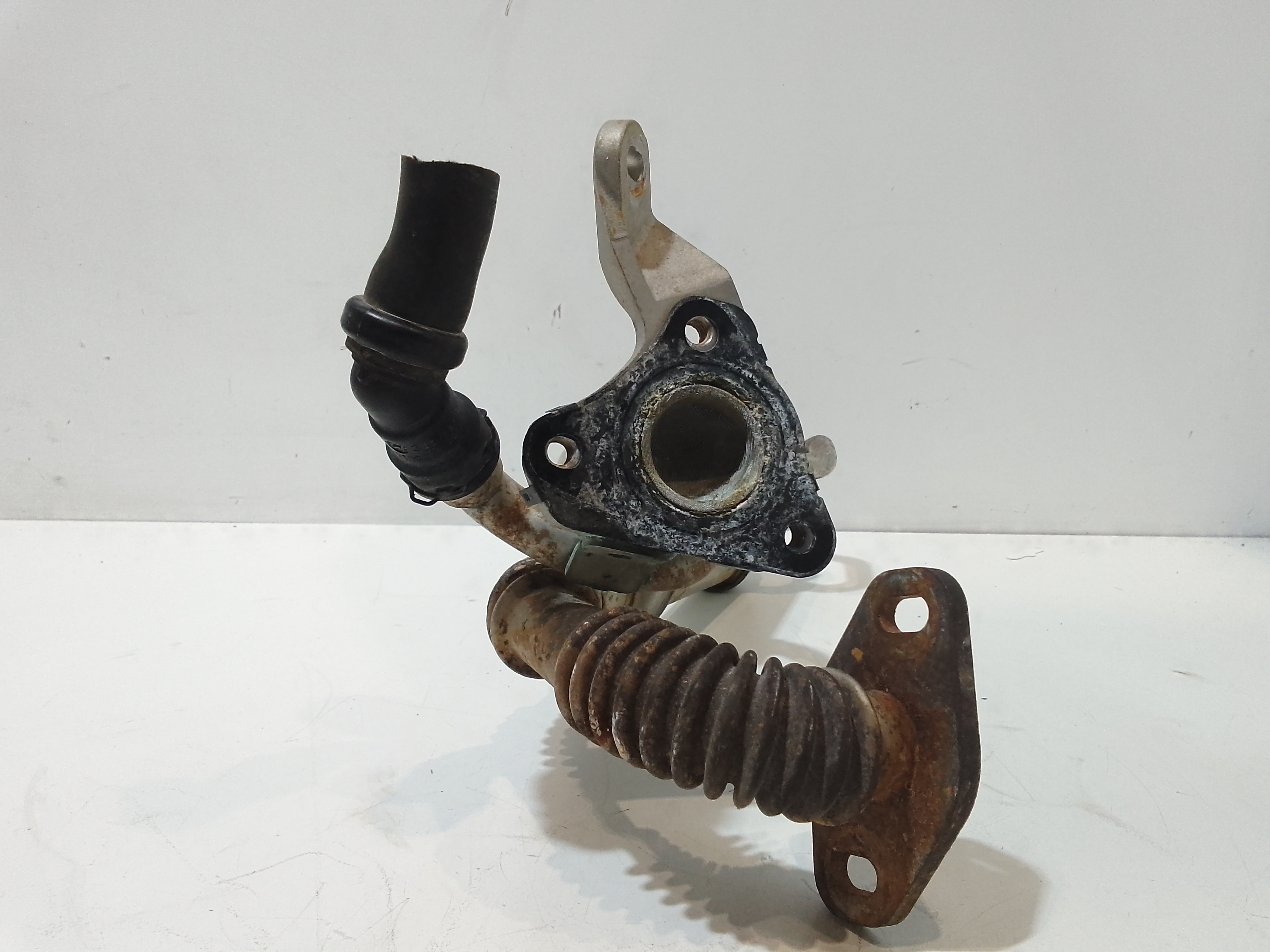 Scambiatore Egr per Renault Clio Serie Iv (12>19) (2012 - 2019)