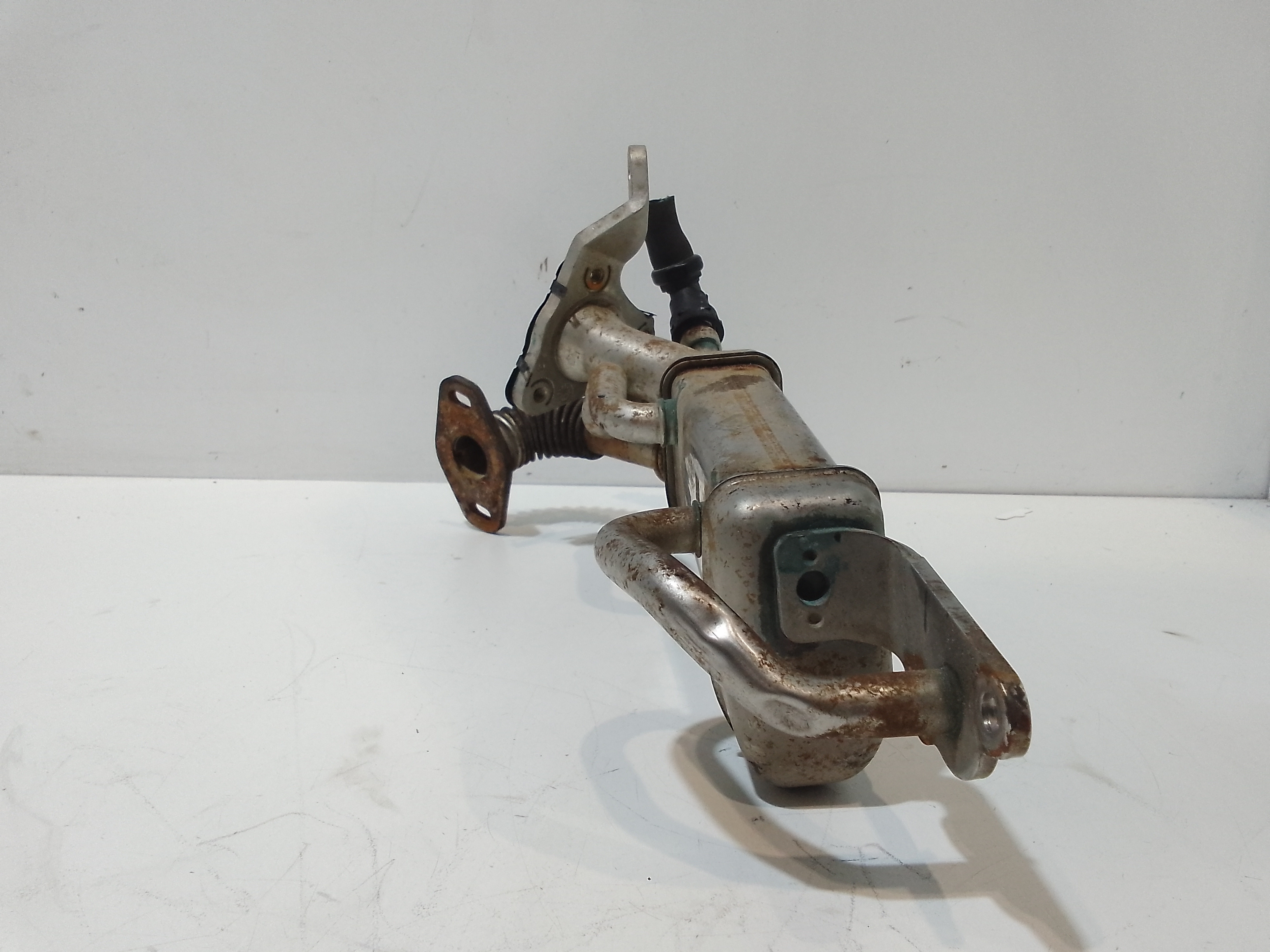 Scambiatore Egr per Renault Clio Serie Iv (12>19) (2012 - 2019)