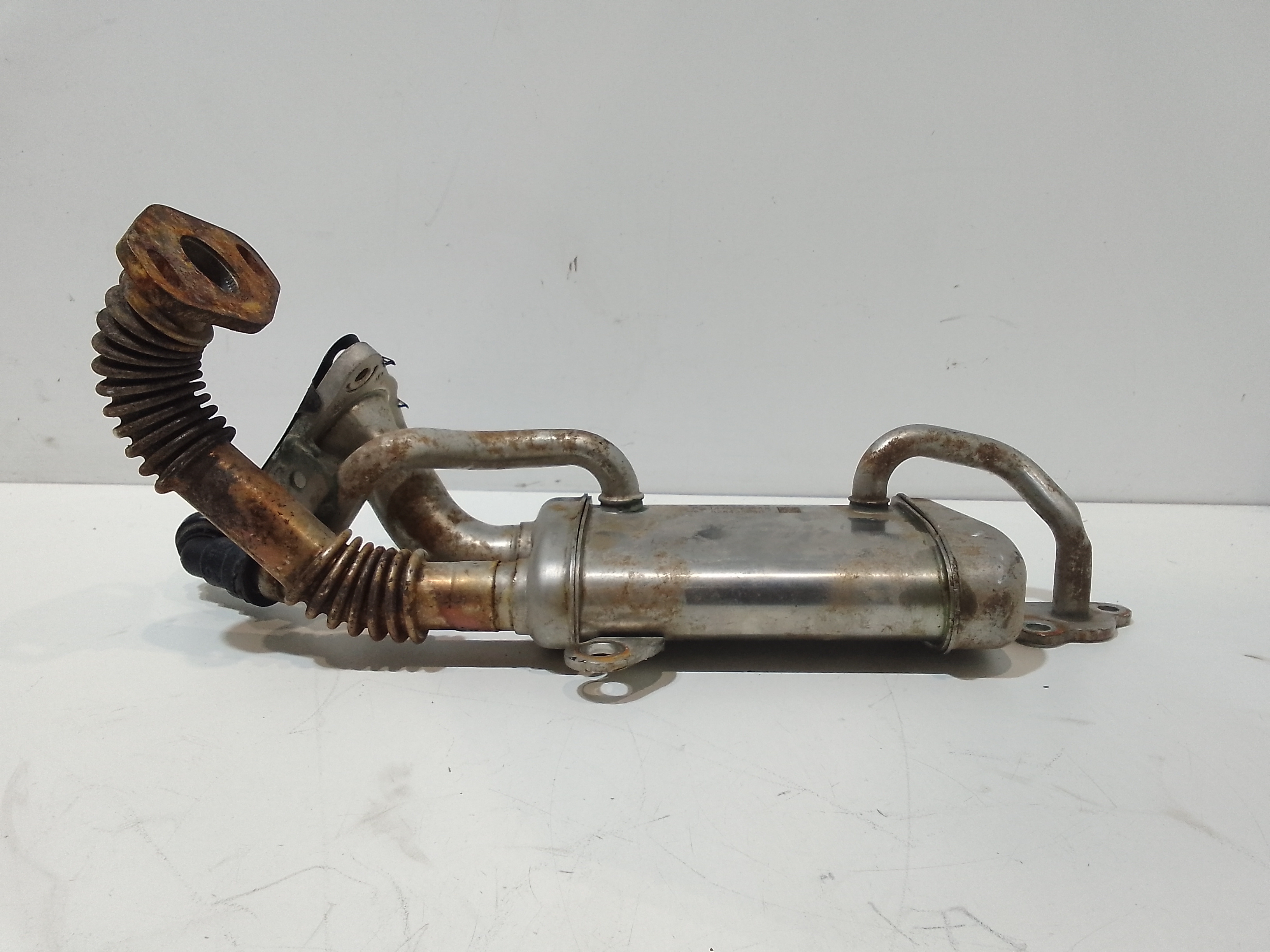 Scambiatore Egr per Renault Clio Serie Iv (12>19) (2012 - 2019)