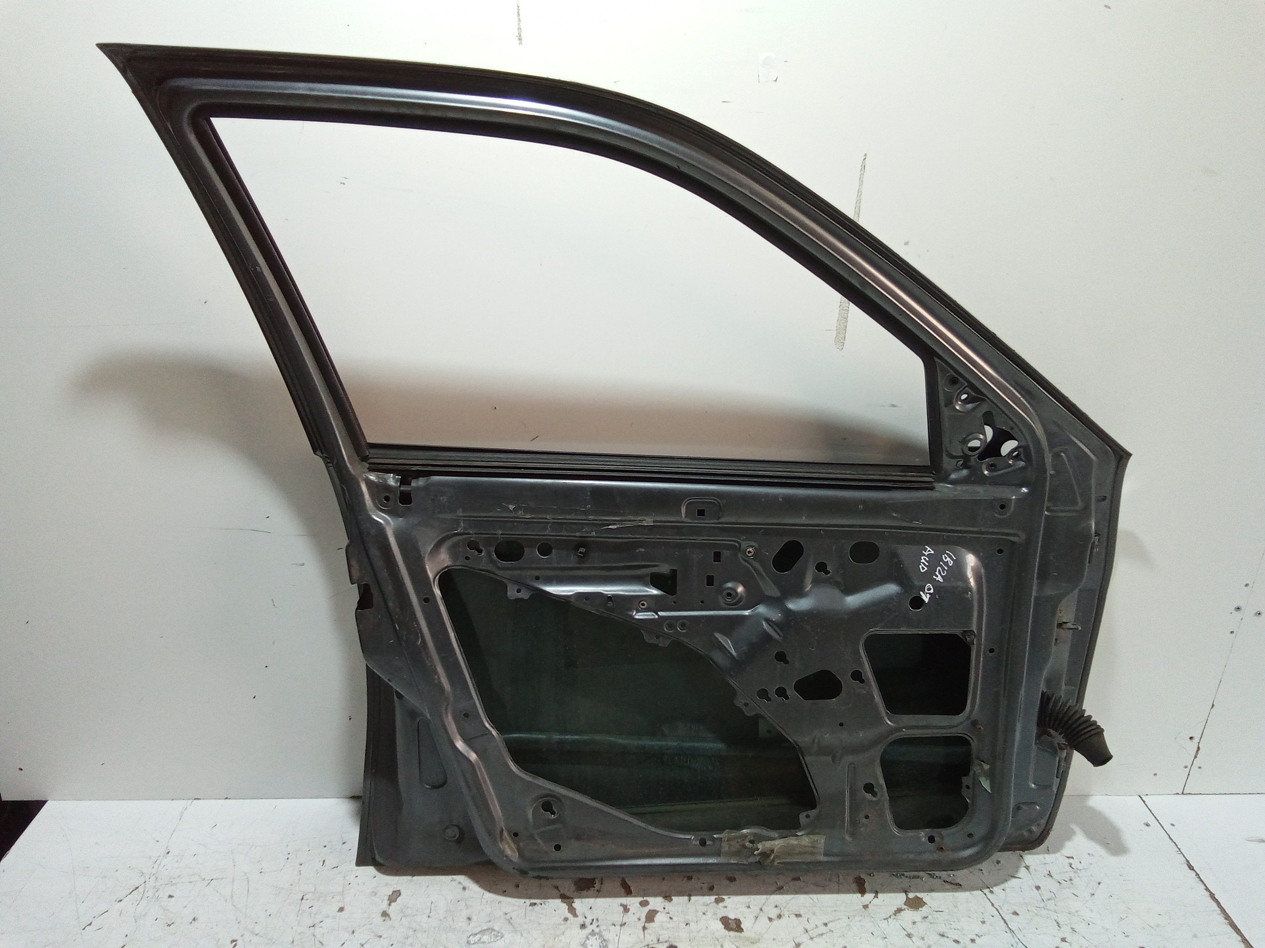 Portiera Anteriore Sinistra per Seat Ibiza Serie (99>02) (1999 - 2002)