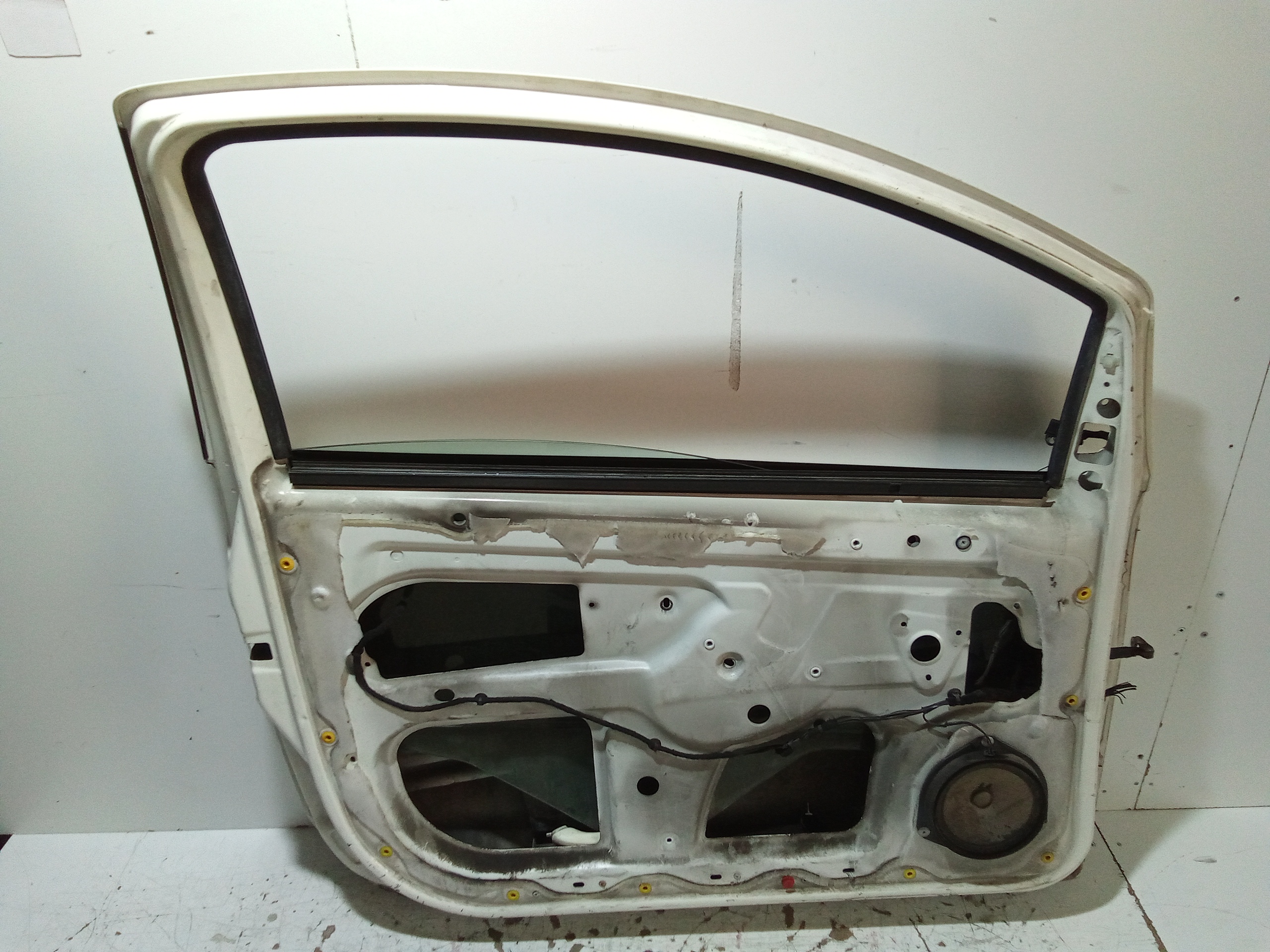 Portiera Anteriore Sinistra per Ford Ka Serie (ccu) (08>18) (2008 - 2018)
