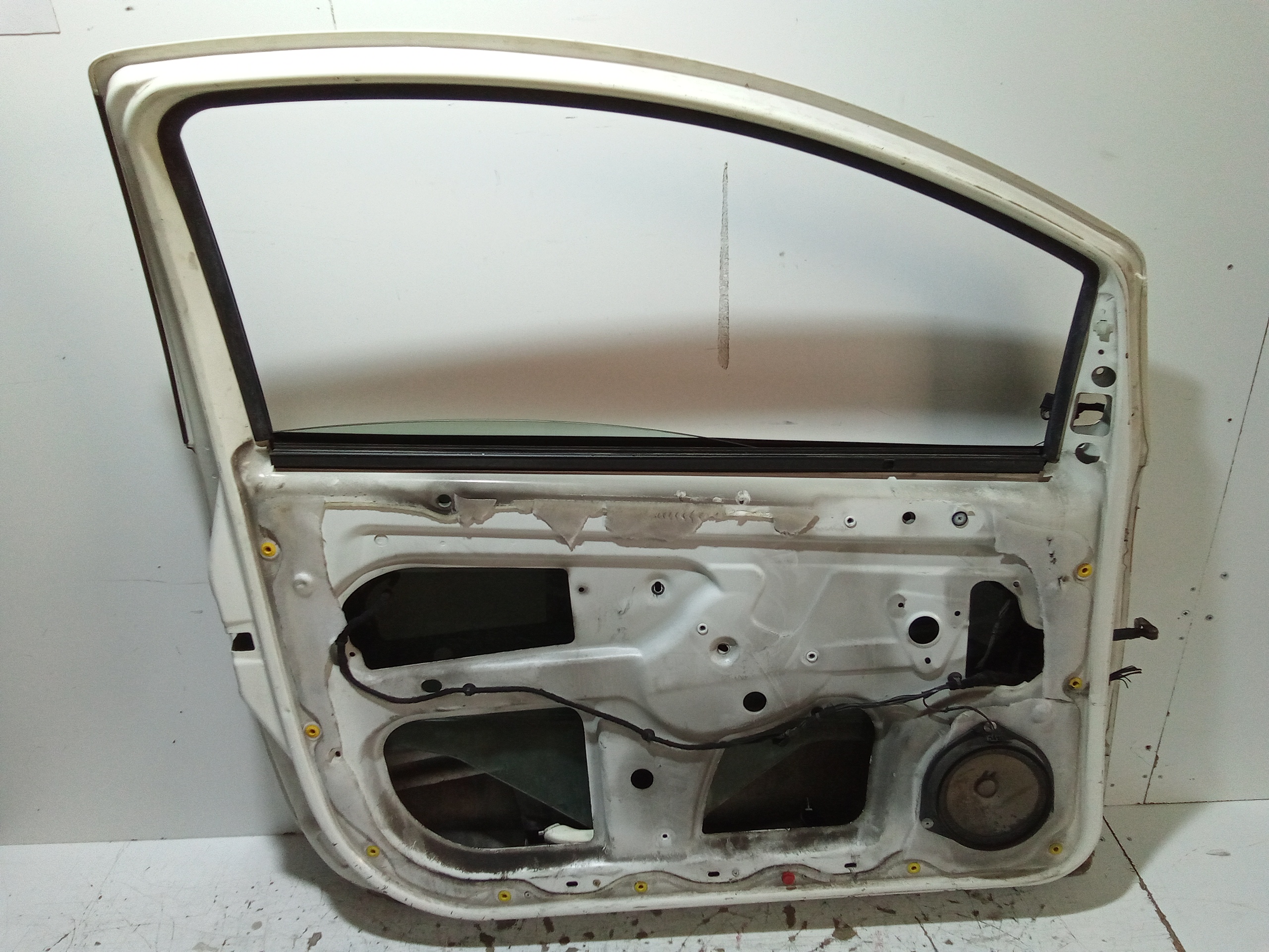 Portiera Anteriore Sinistra per Ford Ka Serie (ccu) (08>18) (2008 - 2018)