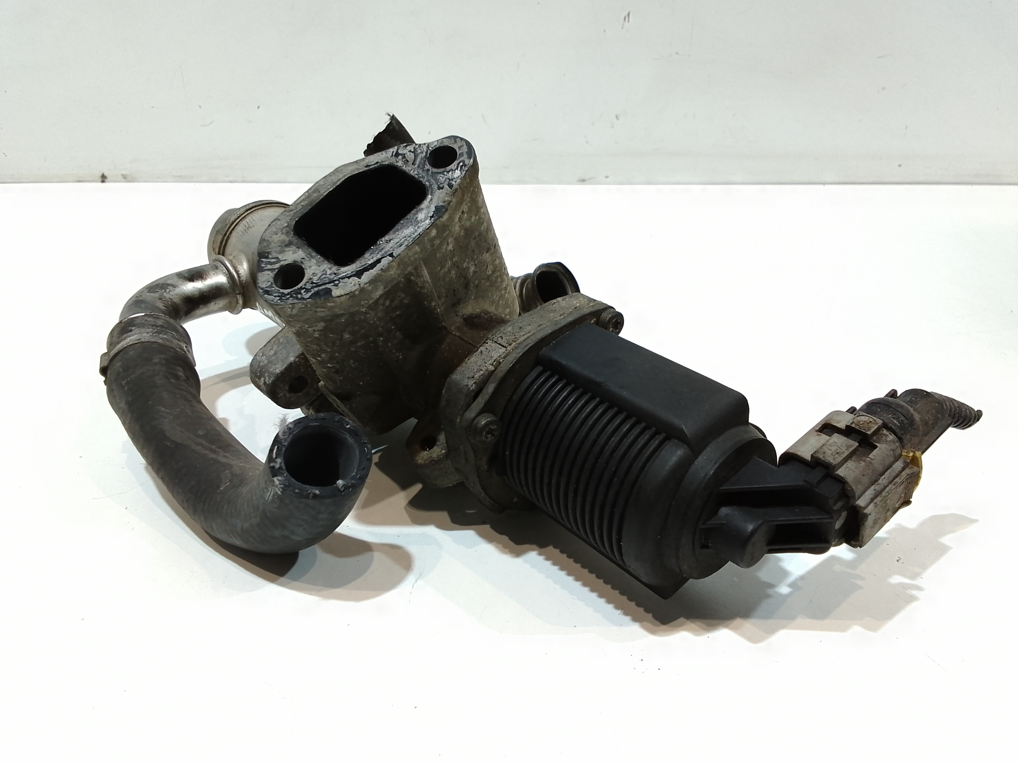 Valvola EGR per Fiat Panda 2 Serie (2003 - 2010)