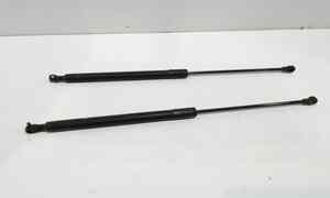 Pistoncini cofano Post. per Citroen C3 Serie (2009 - 2015)