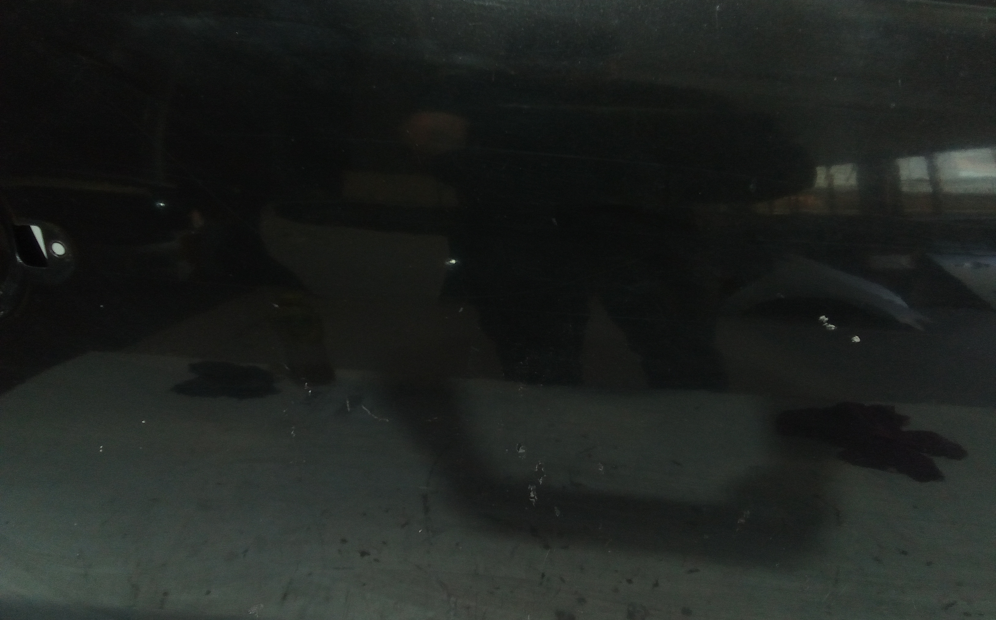 Portiera anteriore Destra per Volkswagen Fox 1 Serie (2005 - 2011)