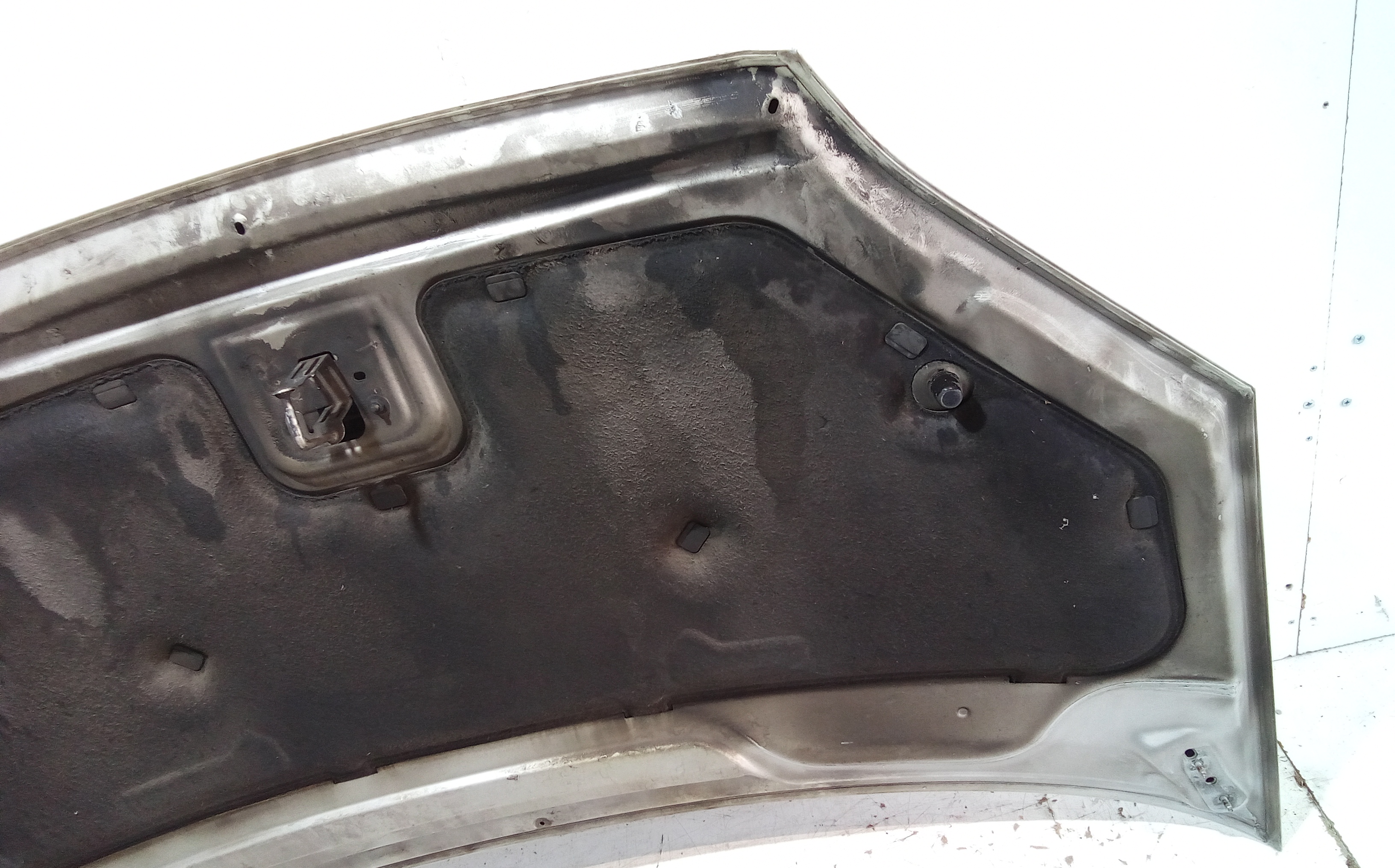 Cofano Anteriore per Ford C - Max Serie (03>07) (2003 - 2007)