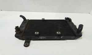 Radiatore acqua per Suzuki Burgman 250cc (an250) (99-) (1999 - In produzione)