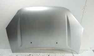 Cofano Anteriore per Toyota Rav4 2 Serie (2000 - 2003)