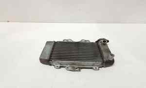Radiatore acqua per Honda Sh 125cc I (05>08) (2005 - 2008)