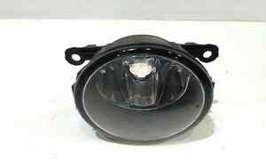 Fendinebbia anteriore SX per Ford Fiesta 6 Serie (2008 - 2017)