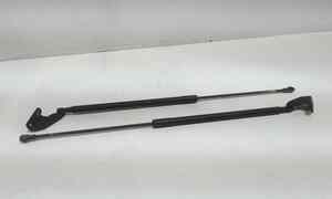 Pistoncini cofano Post. per Nissan Qashqai 1 Serie (2006 - 2009)